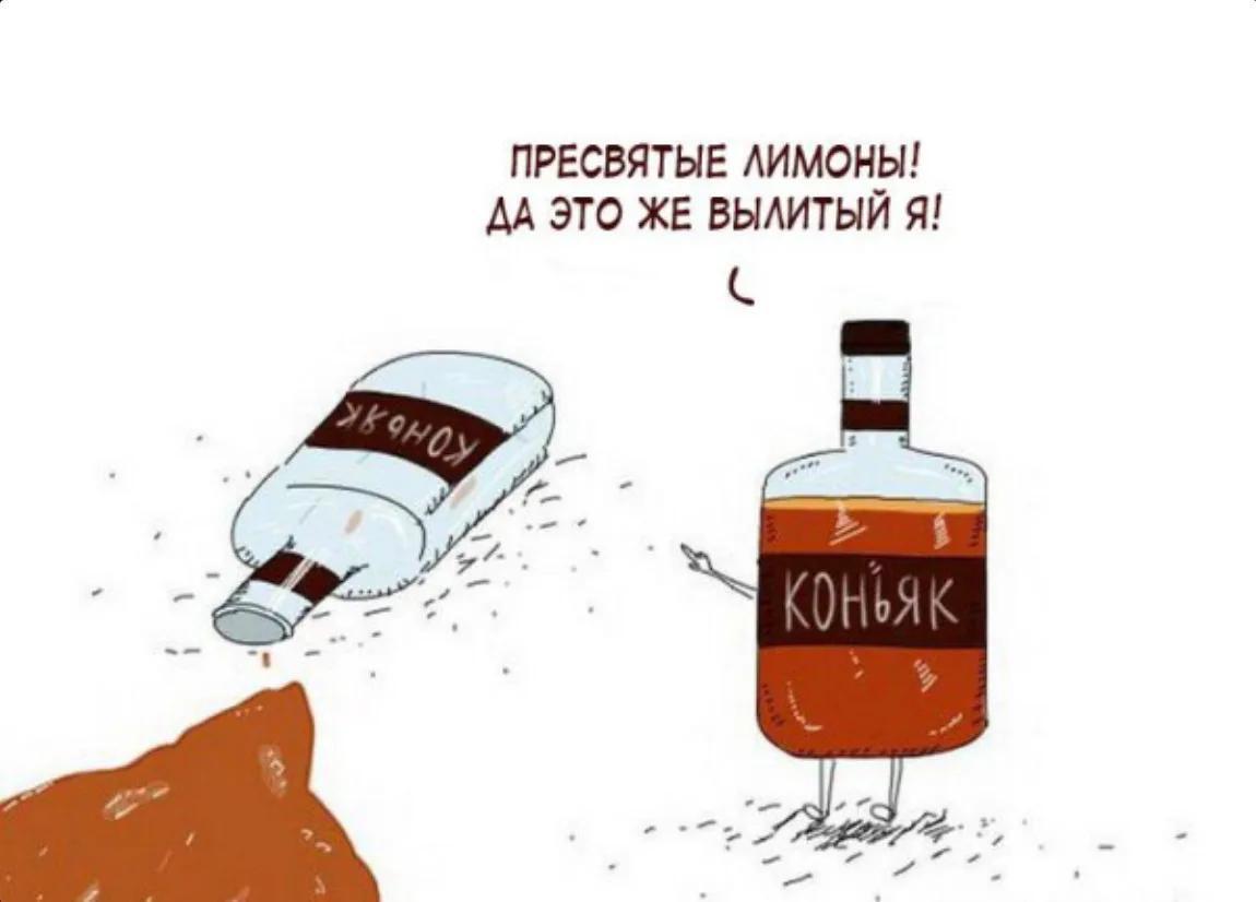 Мем дня от ЛюблюГулять