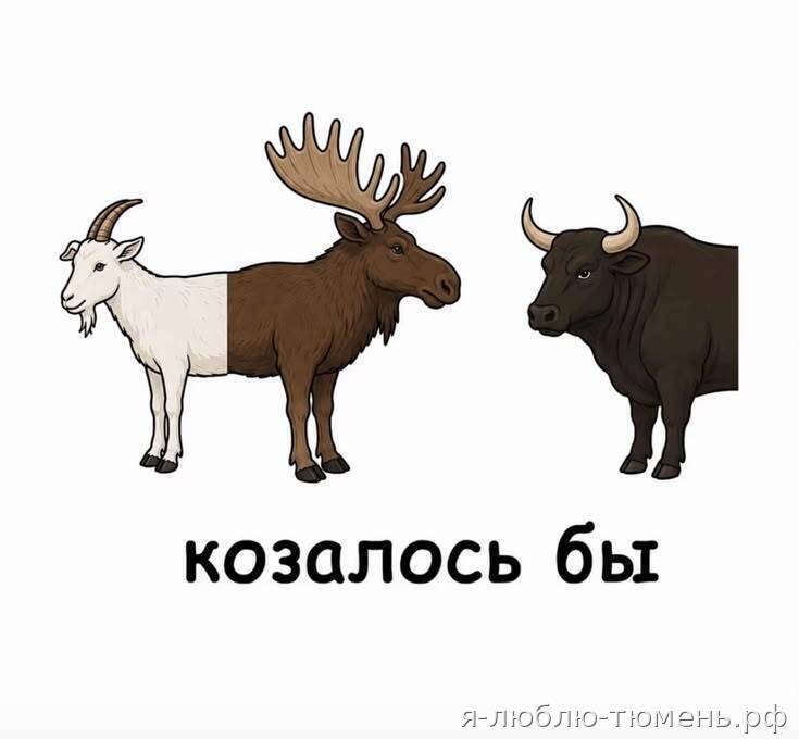 Казалось бы